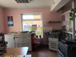 spatiu-comercial-de-vanzare-alba-cetate-cu-vitrina-stradala-mare-si-finisat-8